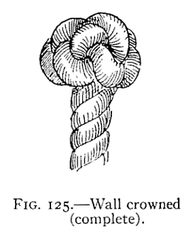 Illustration: FIG. 125.Wall crowned (complete).