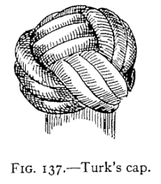 Illustration: FIG. 137.Turk's cap.