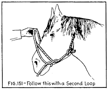 Illustration: FIG. 151Follow this with a Second Loop.