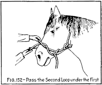 Illustration: FIG. 152Pass the Second Loop under the First.