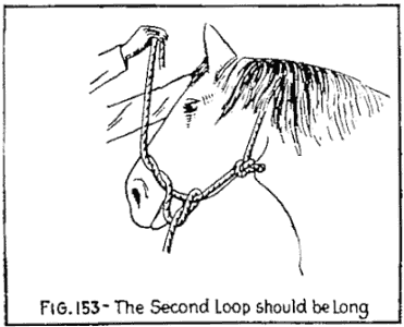 Illustration: FIG. 153The Second Loop should be Long.