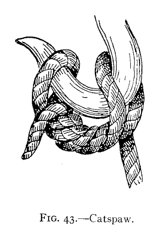 Illustration: Fig. 43.Catspaw.