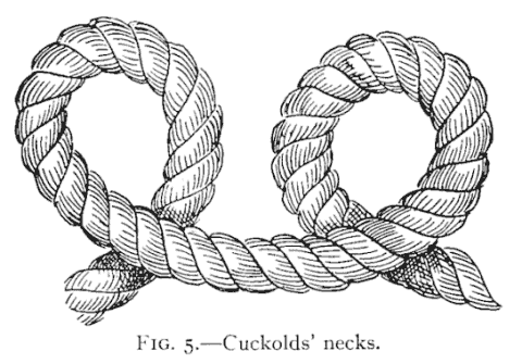 Illustration: FIG. 5.Cuckolds' necks.