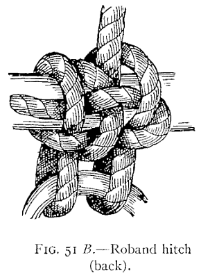 Illustration: FIG. 51 <i>B</i>.Roband hitch (back).