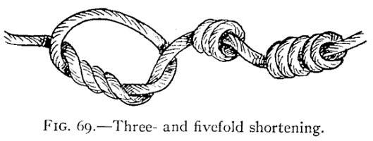 Illustration: FIG. 69.Three- and fivefold shortening.