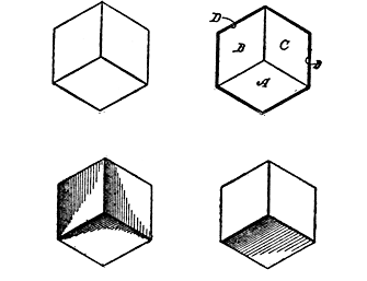 Figs. 101-104. Forms of Cubical Outlines